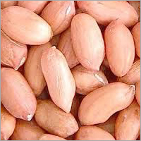 Groundnut Kernels