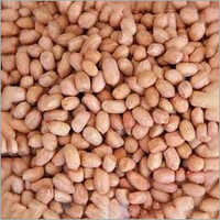 Raw Groundnut Kernels