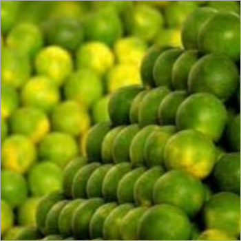 Common Fresh Sweet Lemon
