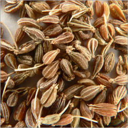 Anise Seed