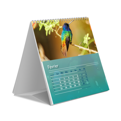 Calendar Printing Services