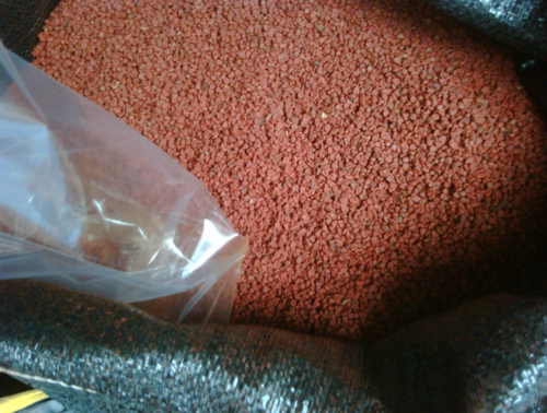 Annatto seed Annatto seed
