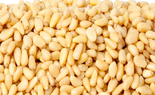 Raw Pine Nuts Kernels