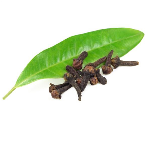 Clove Oil Age Group: Infants