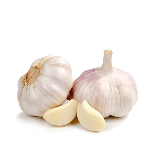 Garlic Oil Age Group: Infants