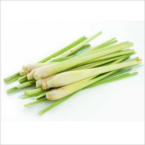 Lemongrass Oil Age Group: Infants