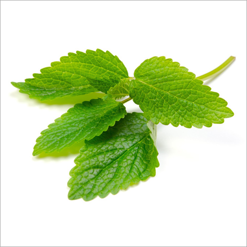 Melissa Oil Age Group: Infants