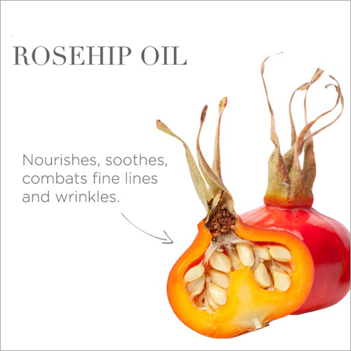 Rosehip Oil - 100% Pure Herbal Extract , Fresh Fragrance Compound for All Age Groups
