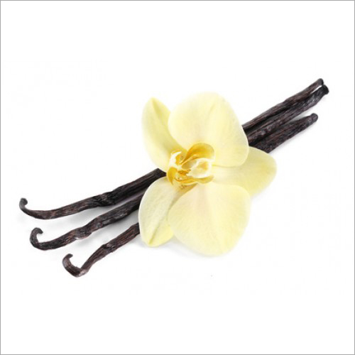 Vanilla Oil - Herbal Extract with Fresh Fragrance | 100% Pure, Yellow Flower Essence for All Age Groups
