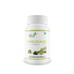 Wheatgrass Wheatgrass