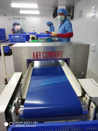 Food Conveyor Metal Detector