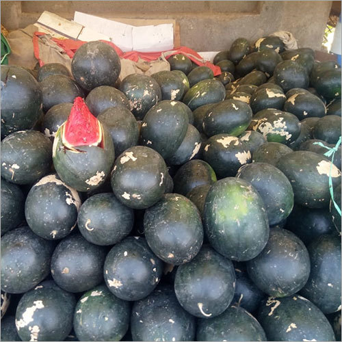 Common Farm Fresh Watermelon