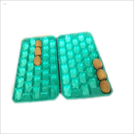 Kiwi Fruit Plastic Tray