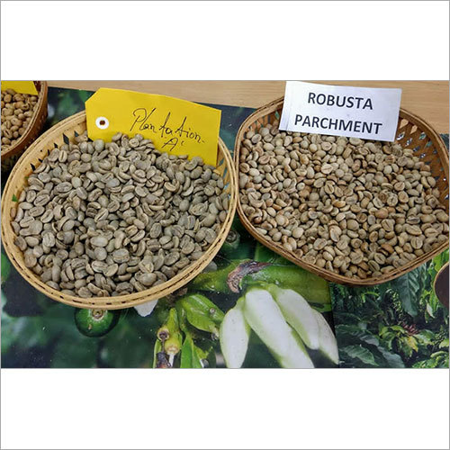 Arabica Plantation And Robusta Parchment - Blended Arabica Variety | Equally Balanced Flavor Profile, Perfect for Versatile Brewing Methods