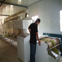 Green Tea Drying Fixation Machine