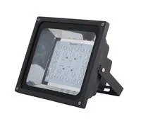 70W Flood Light