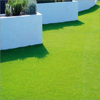 Artifical Grass Carpet