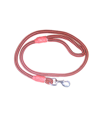 Brown Dog Lead