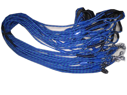 Blue Dog Lead