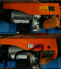 PA 500 PA600 PA800 PA1000 High Quality Mini Electric Hoist Best Selling