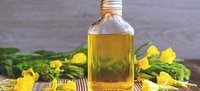 Evening Primrose Oil - 100% Herbal Liquid | Organic, Alcohol-free, Safe For All Skin Types, Suitable For All Age Groups, No Harmful Chemicals
