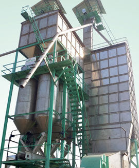 Stainless Steel Paddy Dryer