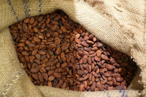 Cocoa Beans