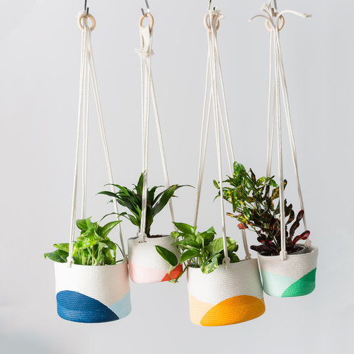 Hanging Planter Hanging Planter