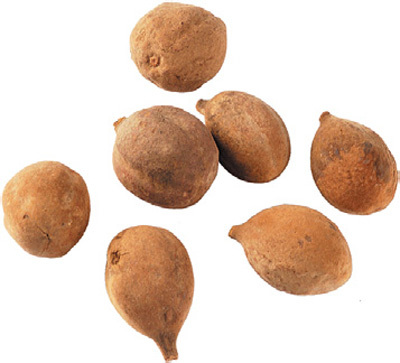 Indian Herbs