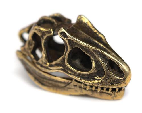 Allosaurus skull keychain