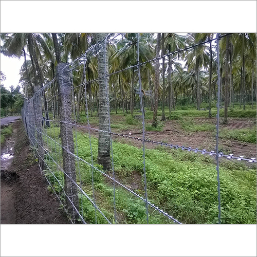 RBT Fencing Wire And Concertina Coil Fencing Wires