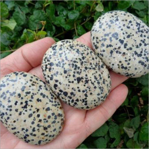 Dalmation Palm Stone