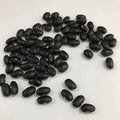 Black Beans