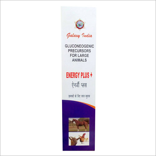 Energy Plus Medicine