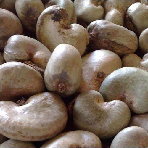 industrial Raw Cashews