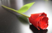Metal Red Tulip Flower