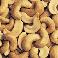 Cashew Nut