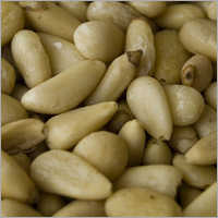 Pine Nut