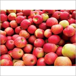 Fresh Apple Fruit By SHADIE MM PTY LTD