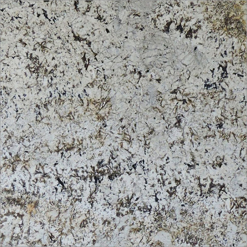 Alaska White Gold Granite Application: Use For Flooring