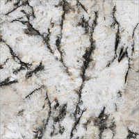Alaska White Granite Application: Use For Flooring