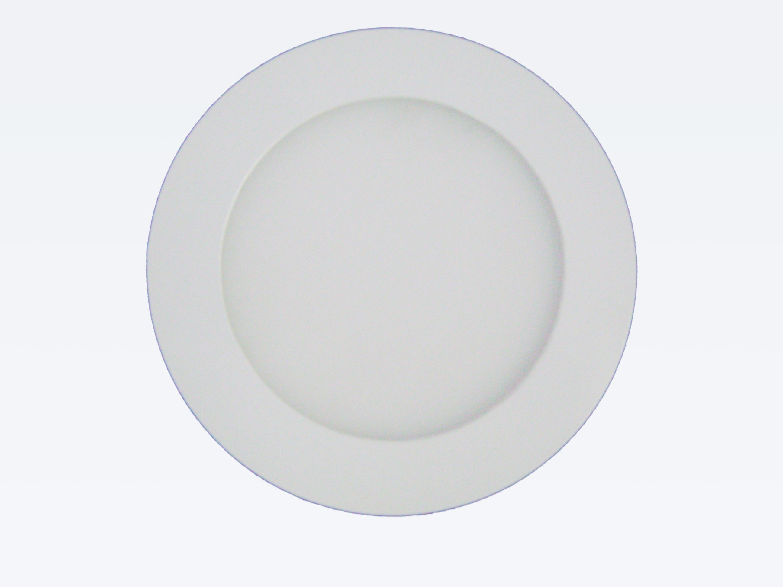 12 W ROUND PANEL