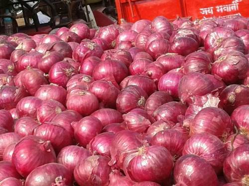 Fresh Onion
