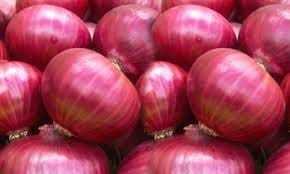 Fresh Red Onion - Organic Dried Vegetable | Enhances Flavor, Taste, and Aroma, Available in Bulk or Small Quantities