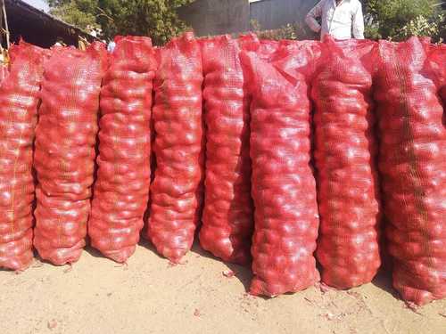 Organic Red Onion