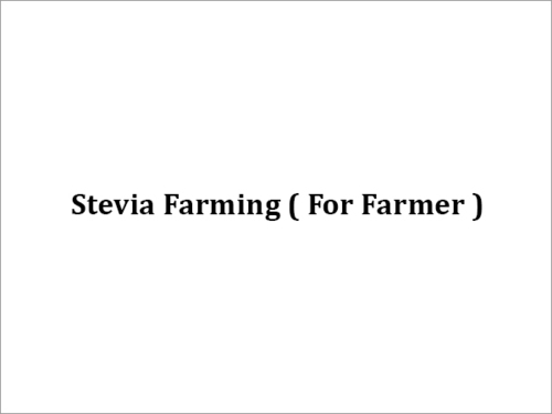 Farmer Stevia Farming Grade: Food