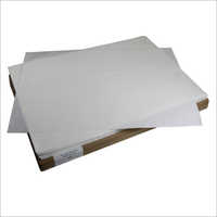 Filter Sheet