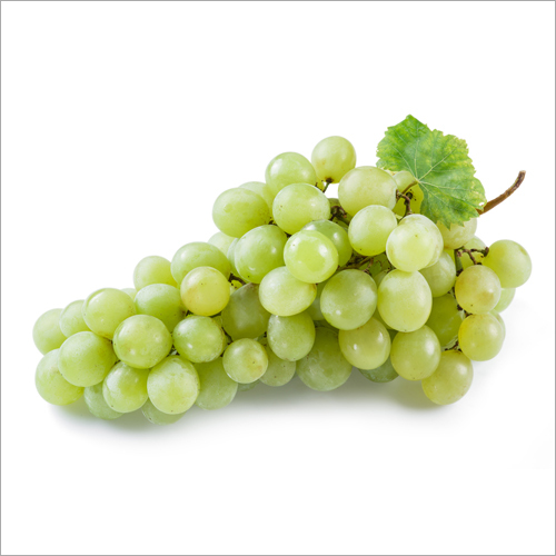 Fresh Green Grapes Fresh Green Grapes