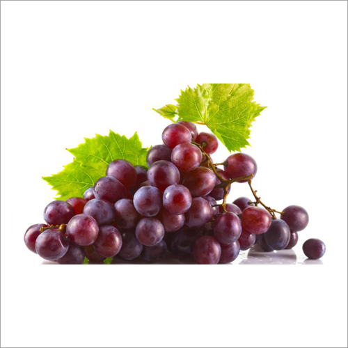 Fresh Red Grapes Fresh Red Grapes