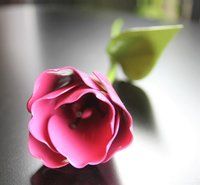 Anniversary Pink Flower Tulip